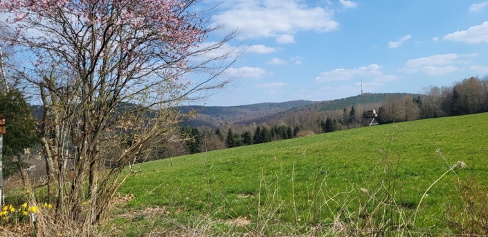 Frühlingswanderung rund um Gailbach Verein der Spessartfreunde 1880