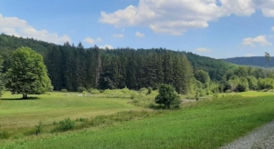 Foto Torhaus Aurora-Sylvan für Webseite