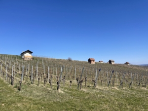 Genusswandern-1